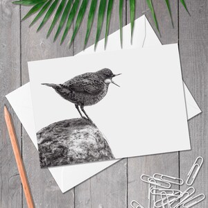 A5 Weißkehlamsel Grußkarte, Vogel Geburtstagskarte, Handgezeichnete Vogel Kunst, Jede Anlass Karte für Vogelliebhaber (Cinclus cinclus)