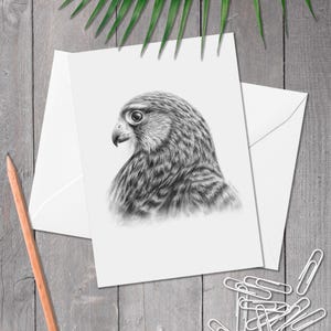 A5 Falken Geburtstagskarte, Turmfalke weiblich, Geburtstagskarte, Falke Geburtstagskarte, Karte für Vogelliebhaber, Falco tinnunculus