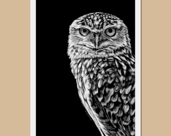 Burrowing owl art prints - A3, A4, A5 sizes - Bird wall art - Digital art - Owl drawing - Bird lover gift