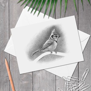 A5 Vogel Geburtstagskarte, Vogel Geburtstag, Karte für Vogelliebhaber, (lophophanes cristatus)