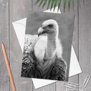 A5 Geburtstagskarte Gänsegeier, Geier Geburtstagskarte, Handgezeichnete Raubvogel Kunst, Jede Anlass Karte für Vogelliebhaber - (Gyps fulvus)