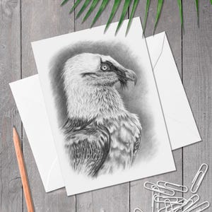 Carte de voeux A5 gypaète barbu, carte d'anniversaire gypaète, art d'oiseau de proie dessiné à la main, carte pour amoureux des oiseaux, (Gypaetus barbatus)