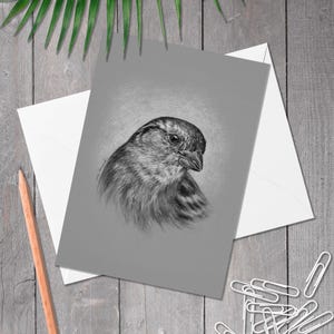 Carte de voeux A5 femelle moineau domestique, carte d'anniversaire d'oiseau de jardin britannique, art d'oiseau dessiné à la main, carte pour amoureux des oiseaux, (passer domesticus)