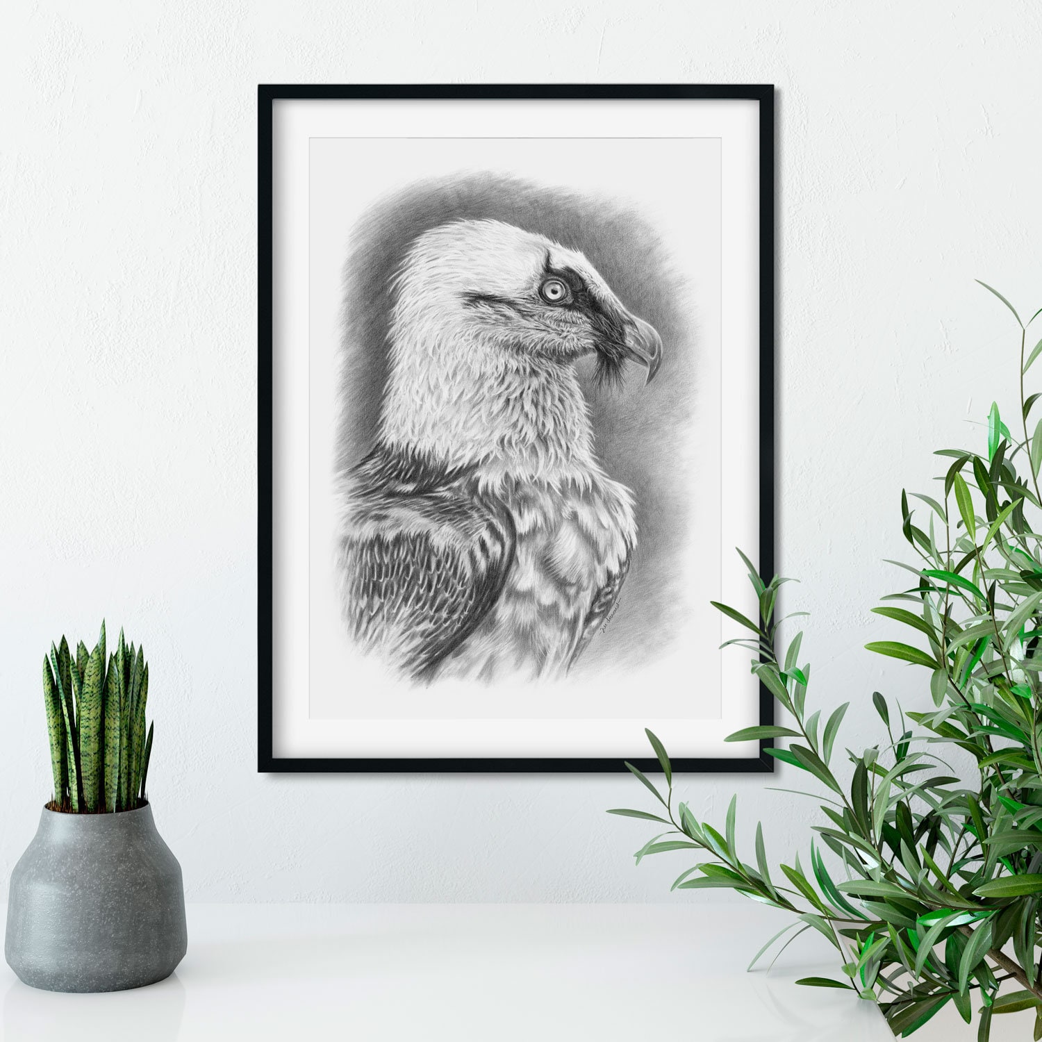 Original Bartgeier Federzeichnung, Lammergeier, Einzigartiges  VogelLiebhaber Geschenk, Vogel Kunst - Etsy Schweiz, image size:1500x1500