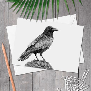 A5 Geburtstagskarte Krähe, Geburtstagskarte mit Vogel, handgezeichnete Vogelkunst, Karte Krähe, Corvid Liebhaber, Karte für jede Gelegenheit für Vogelliebhaber, Corvus corone