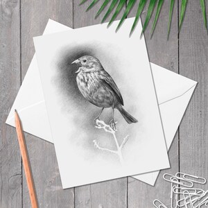 A5 Geburtstagskarte mit Kornblume, Geburtstagskarte mit britischer Vogel, handgezeichnete Vogel Kunst, Geburtstagskarte für Vogelliebhaber, (Emberiza calandra)