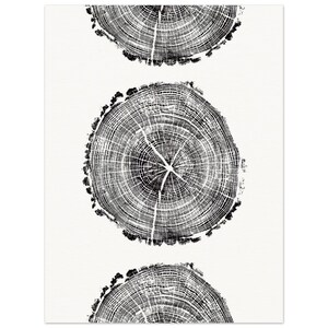 May include: Black and white illustration of three tree rings, each with a different number of rings. The rings are arranged vertically, with the largest ring at the top and the smallest ring at the bottom.