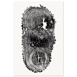 Ash Crotch Tree Rings Relief Print - Matte Paper Wall Art - Elegant Poster For Decoration