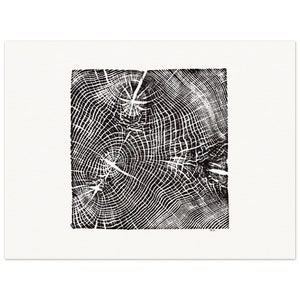 Maple Block Tree Ring Relief Print - Matte Paper Wall Art - Elegant Poster For Decoration