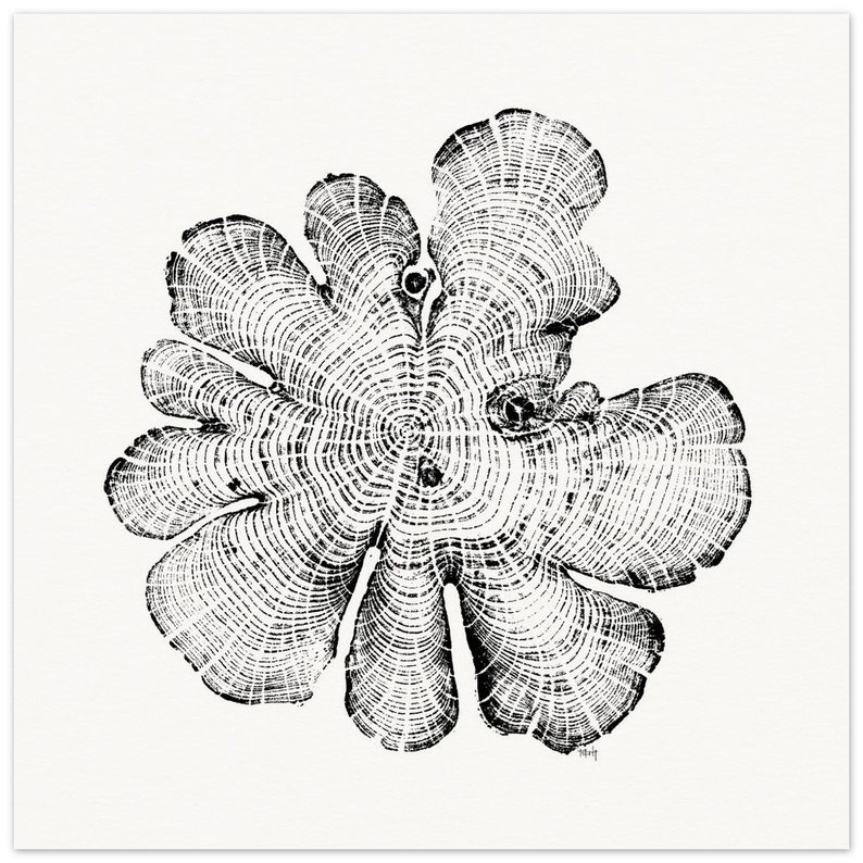 North Carolina Red Cedar Tree Rings Relief Print - Matte Paper Wall Art - Elegant Poster for Decoration 25x25 cm / 10x10″