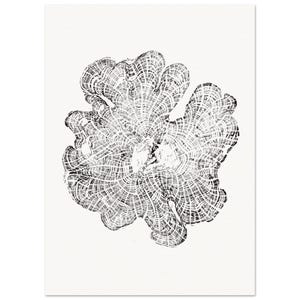 Cedar Wood Tree Rings Relief - Matte Paper Wall Art - Elegant Poster For Decoration image 3