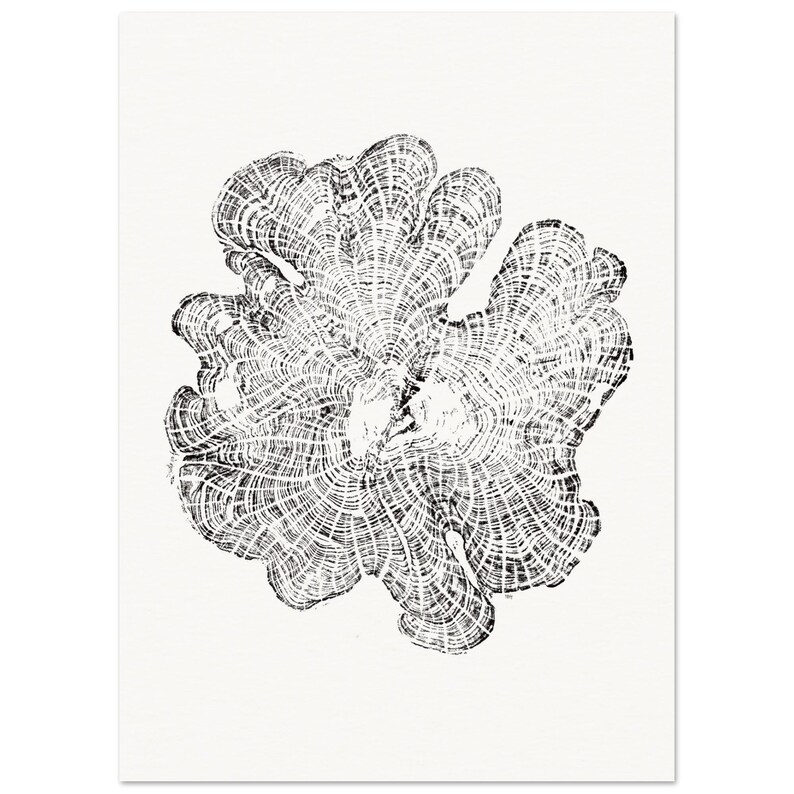 Cedar Wood Tree Rings Relief - Matte Paper Wall Art - Elegant Poster For Decoration image 3