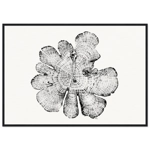 Framed North Carolina Red Cedar Tree Rings Relief Print - Matte Paper Wall Art - Elegant Poster for Decoration - Wooden Frame - Metal Frame