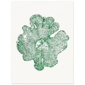 Anillos de madera de cedro en relieve (tinta verde) - Arte de pared en papel mate - Póster elegante para decoración