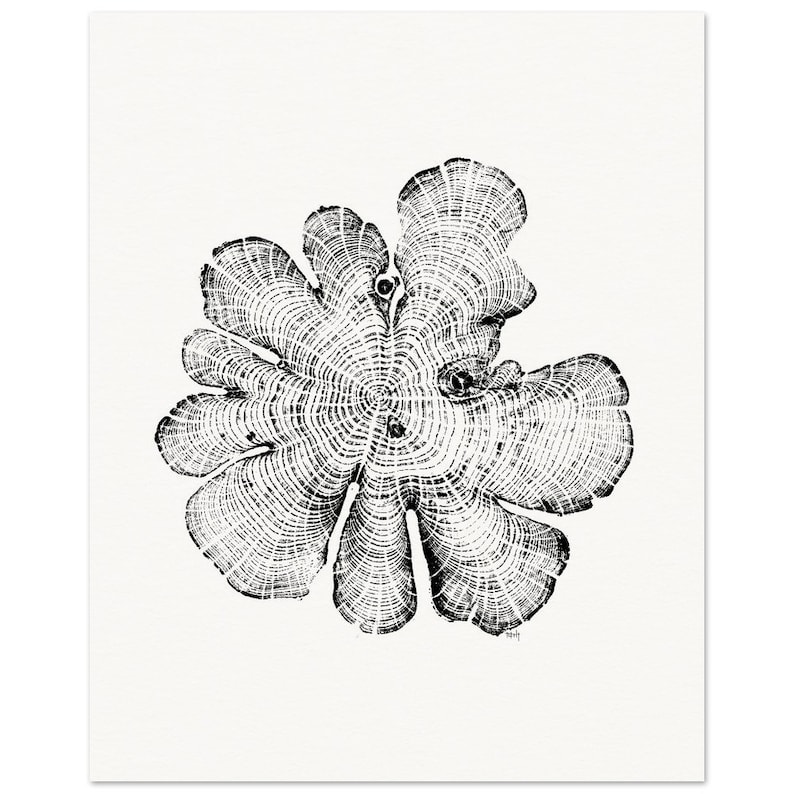 North Carolina Red Cedar Tree Rings Relief Print - Matte Paper Wall Art - Elegant Poster for Decoration 20x25 cm / 8x10″