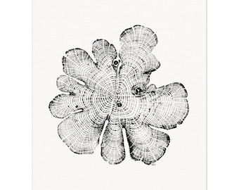 North Carolina Red Cedar Tree Rings Relief Print - Matte Paper Wall Art - Elegant Poster for Decoration