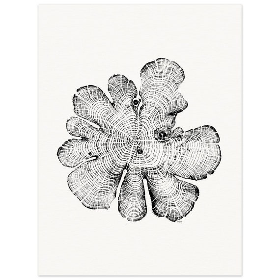 North Carolina Red Cedar Tree Rings Relief Print - Matte Paper Wall Art - Elegant Poster for Decoration