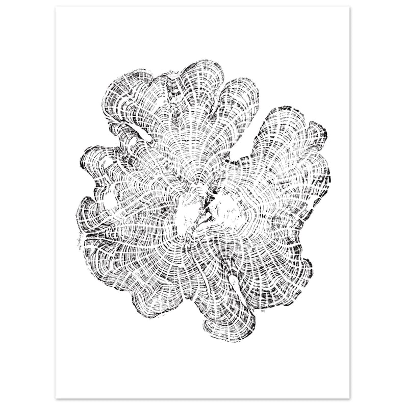 Cedar Wood Tree Rings Relief - Matte Paper Wall Art - Elegant Poster For Decoration image 1