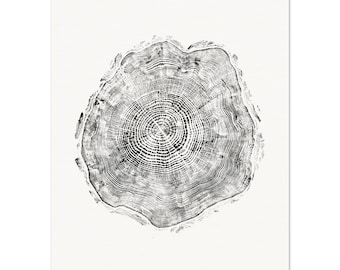 North Carolina Longleaf Pine Tree Ring Relief Print - Matte Paper Wall Art - Elegant Poster For Decoration