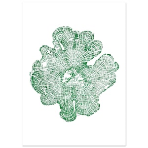 Zedernholz Baumringe Relief (Grüne Tinte) - Matte Papier Wand Kunst - Elegantes Poster Zur Dekoration