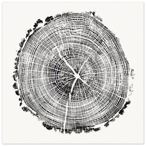 May include: Black and white illustration of a tree trunk cross section, showing the rings of growth. The rings are detailed and intricate, creating a visually interesting pattern.