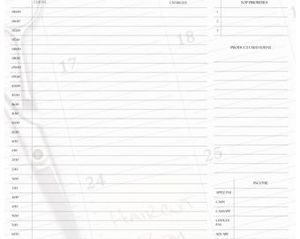 May include: A white daily planner page with the words "Daily Appointments" in cursive. The planner includes sections for date, client, charges, top priorities, and income. It has a calendar layout with time slots from 6:00 AM to 9:00 PM.