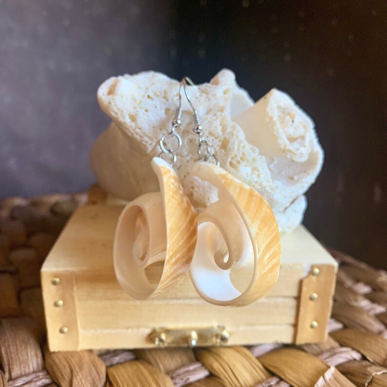 Cut Shell Earrings