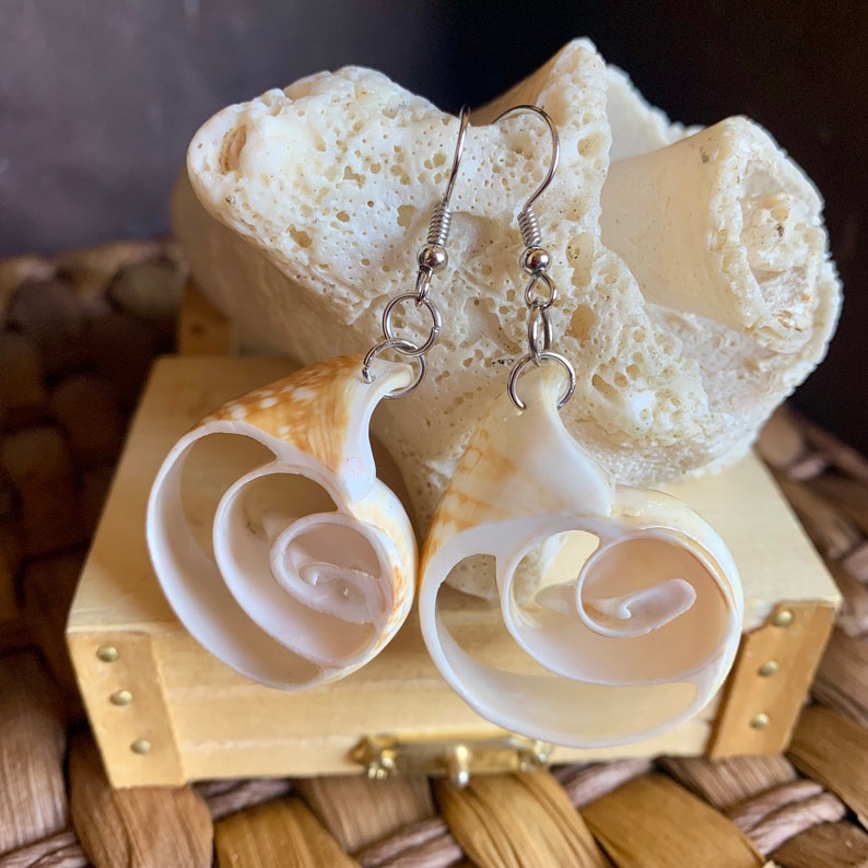 Cut Shell Earrings