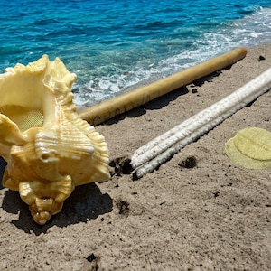 May include: A large seashell with a textured surface, a long wooden stick, a white and gray stick, and two round, yellow, woven mats on a sandy beach.