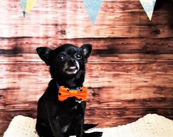 Polka Dot Dog Bow Tie, Pet Bow Tie, Halloween Dog Bow Tie, Dog Bow Tie, Trick or Treat Dog Bow Tie. Orang and Black Dog Bow Tie
