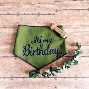 May include: Green dog bandana with the text "It's my Birthday!" in navy blue script. A dog bone and a green leaf garland are also present. The bandana is a triangle shape with a navy blue border.