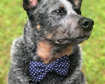 Polka Dot Dog Bow Tie, Wedding Dog Bowtie, Ring Bearer Dog Bow Tie, Navy Blue Dog Bow tie, Party For Dog, Bow Tie For Dog,