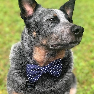 Navy Polka Dot Dog Bow Tie: Wedding Ring Bearer Outfit
