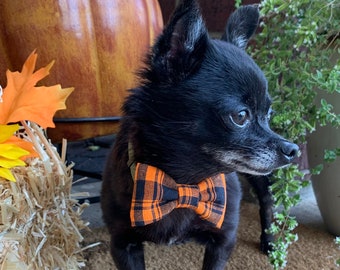 Dog Bow Tie, Dog Accessory, Halloween Dog Bow Tie, Fall Dog Bow Tie, Orange and Black Dog Bow Tie, Pet Accessories, Trick or Treat Dog Bow