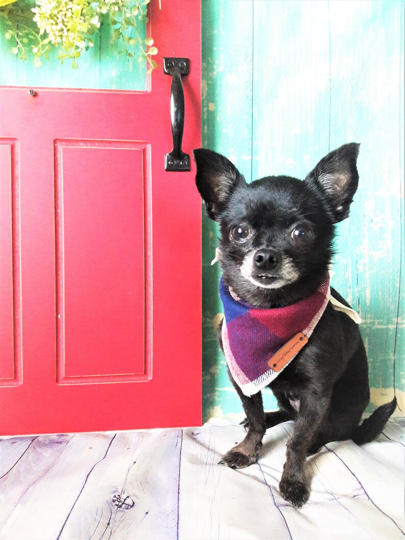Dog Bandana Chihuahua Bandana Plaid Bandana Xsmall Dog Etsy
