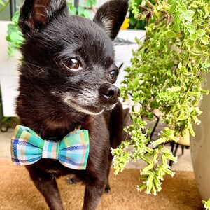 Plaid Dog Bow Tie: Velcro Collar Attachment, Pet Wedding Accessory
