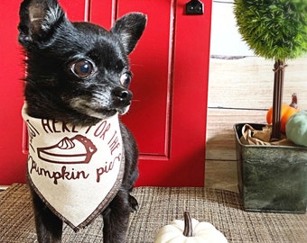 Pumpkin Pie Dog Bandana: Thanksgiving Fall Pet Scarf