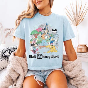 May include: Light blue t-shirt featuring a colorful graphic of Disney characters, including Mickey Mouse, Minnie Mouse, Donald Duck, and Goofy, in front of a castle and the text "Walt Disney World".