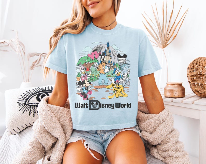 May include: Light blue t-shirt featuring a colorful graphic of Disney characters, including Mickey Mouse, Minnie Mouse, Donald Duck, and Goofy, in front of a castle and the text "Walt Disney World".