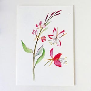 Postal Gaura, aquarela, cartão flor, A6