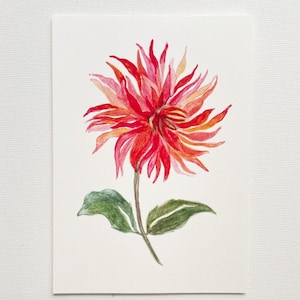 Postal Dália Vermelha, aquarela, cartão flor, A6