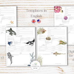 Modello colorato SCUBA Diving Logbook pagine journal Dive Log filler Sheets, Download istantaneo PDF DinA4 /DinA5, Organizzativo stampabile
