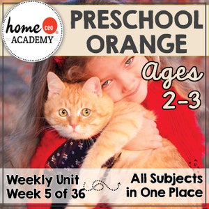 Preschool Homeschool Orange Unit