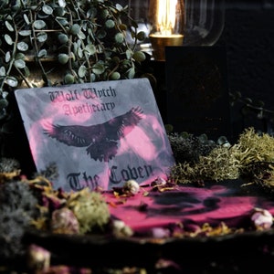 Raven Bird Wax Melt Bar, The Coven Gothic Wax Melts, Rose and Vanilla Scented, Dark Academia Gift, Edgar Allen Poe