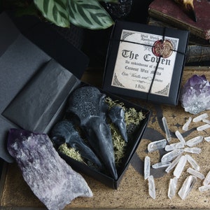 The Coven // Bird Skull Wax Melts, Dark Academia Gift, Witchcraft Wax Melts, Raven Wax Melts, Gothic Wax Melts