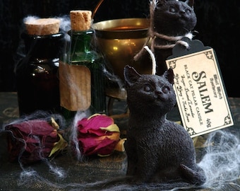 May include: A dark, atmospheric still life with black cat candles, apothecary bottles, and dried roses. A small brass cauldron and a candle tag reading "SALEM BLACK CAT PILLAR CANDLE" are also present. The scene is decorated with artificial spiderwebs, creating a Halloween theme.