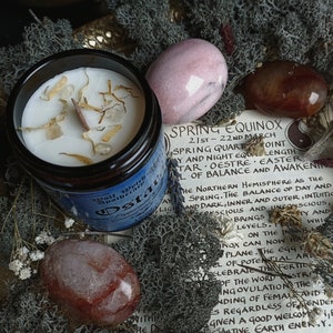 May include: A white candle with dried flowers and crystals inside a glass jar with a blue label that reads "Ostara" and "Wolf Witch Apothecary". The candle is surrounded by pink and red stones and a piece of paper with the text "Spring Equinox 21st-22nd March Spring Quarter Joint Day and Night Equal Length Star, Oestre, Easter L of Balance and Awakening The Northern Hemisphere as the Spring. The Balance of Day and Night, Inner and Outer, Intuition and Darkness, Inner and Unconscious, Brings... Levels.  Plan on the Inn... Nox can now have... Plane. The Egg... El of Potential and Celebrate the Fertility of the Word... Str... ing Ovulation The... Inding of Female and... Es Regardless of Gender... Given a good welcome, bringing Creative Earth Energy. Ergy... e is coming alive. The Sun... The Days are Longer..."