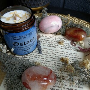 May include: A blue and gold candle jar with the label "Wolf Wytch Apothecary Ostara" and the text "Lemon, Peppermint & Coconut incense candle 180ml Net Weight". The candle jar is surrounded by pink and red stones, dried flowers, and moss.