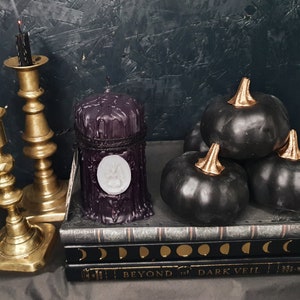 May include: A black pillar candle with a white wax seal sits on a stack of books titled "Beyond the Dark Veil". The candle is surrounded by black pumpkins with gold accents.