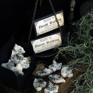 Forest Bathing Vegan Botanical Coconut Wax Melts - Perfect Gift for Nature Lovers, Click for more info!